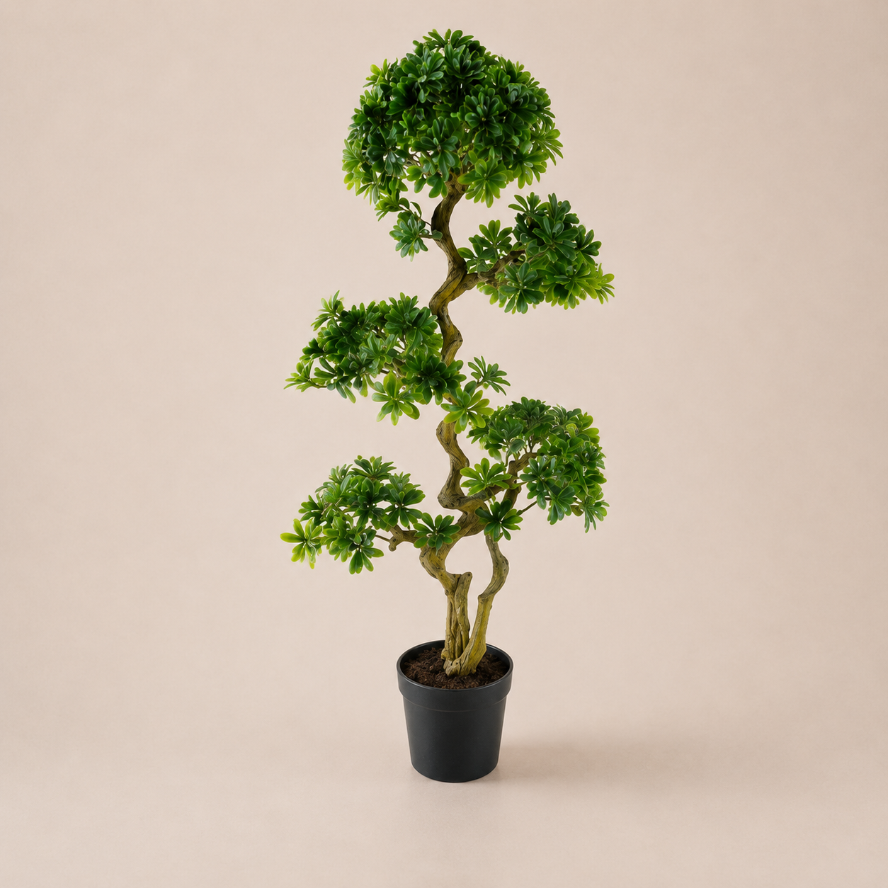 PLANTA ARTIFICIAL PITTISPOURM BONSAI