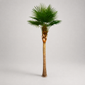 Planta Artificial "Livi Stona" C/Base Metal