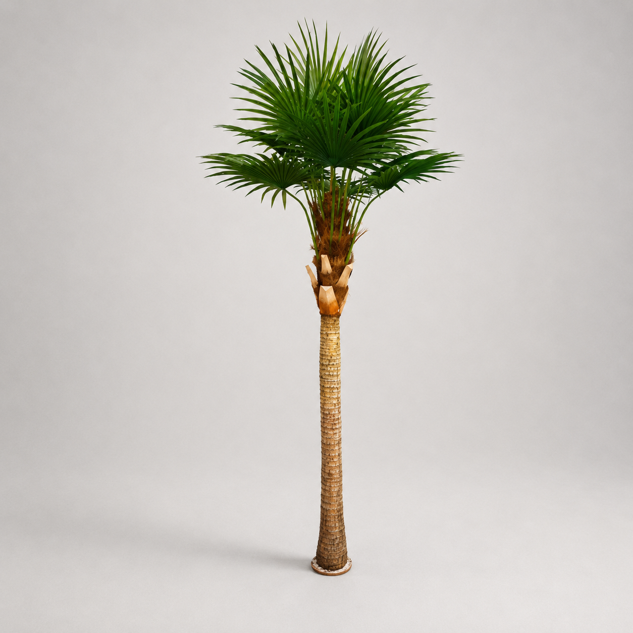 Planta Artificial "Livi Stona" C/Base Metal