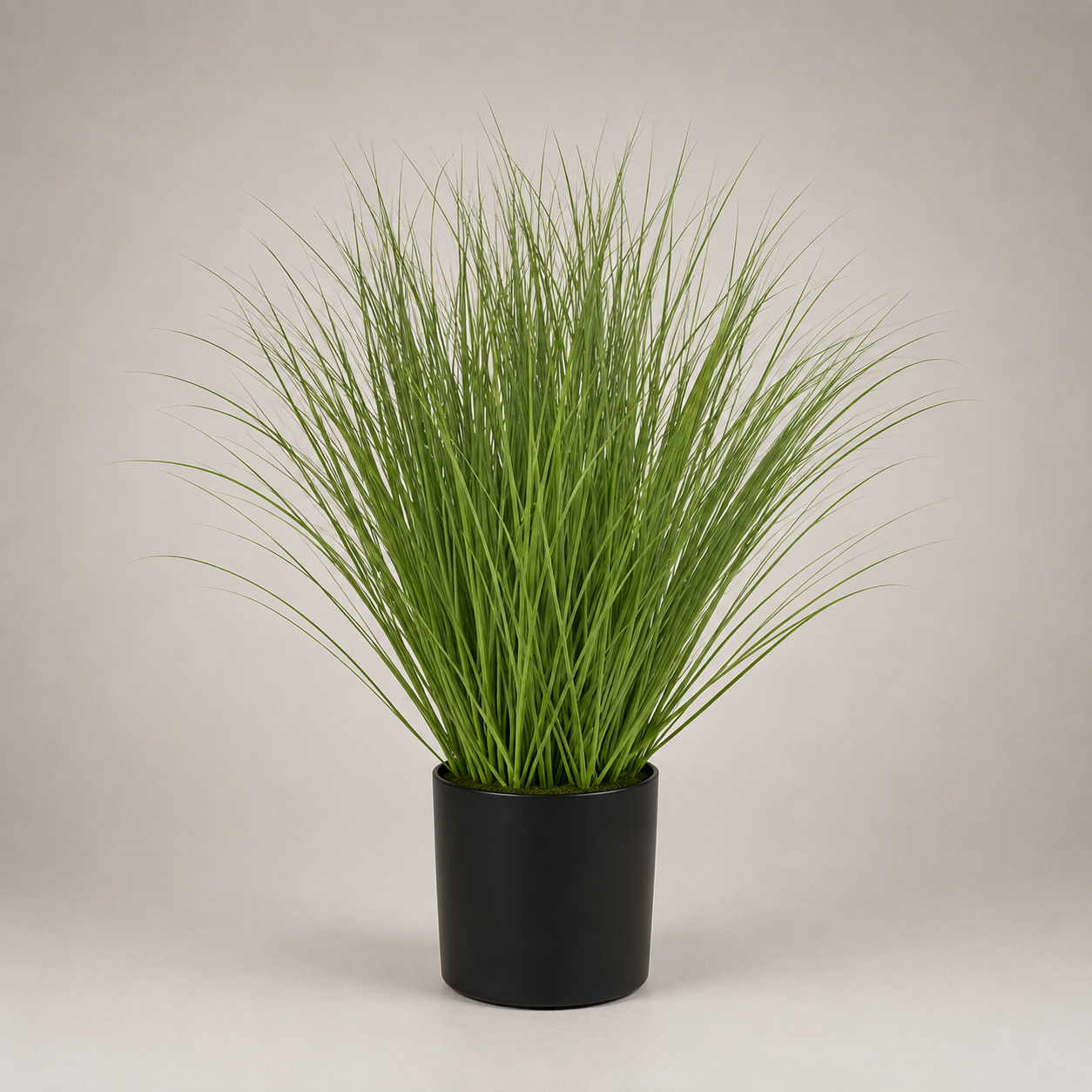 PLANTA ARTIFICIAL GRASS