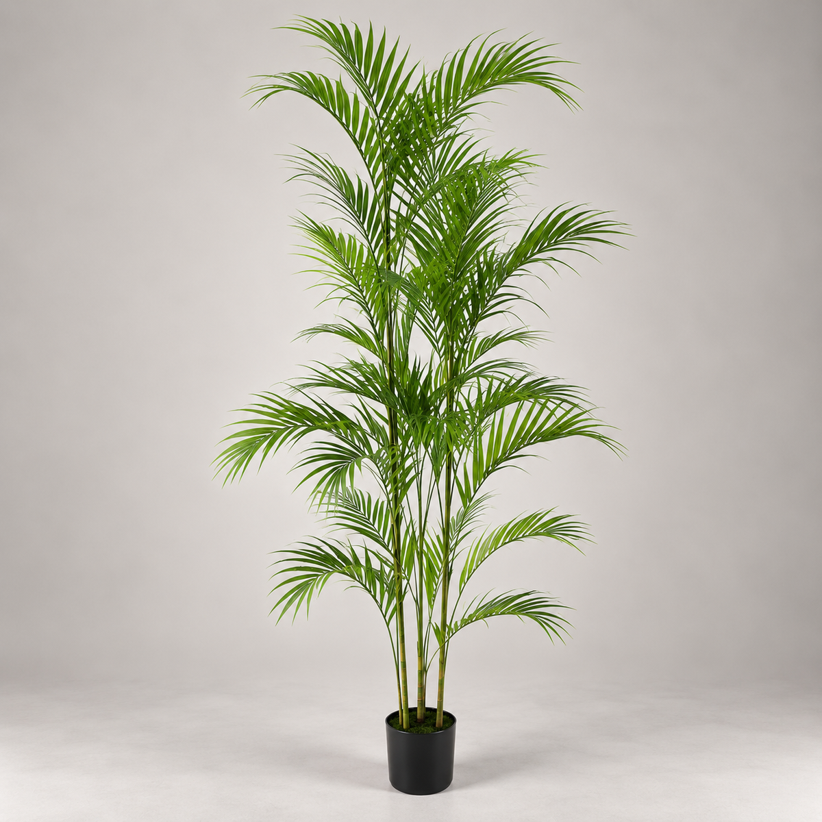 Planta Artificial Palm Tree Bonsai