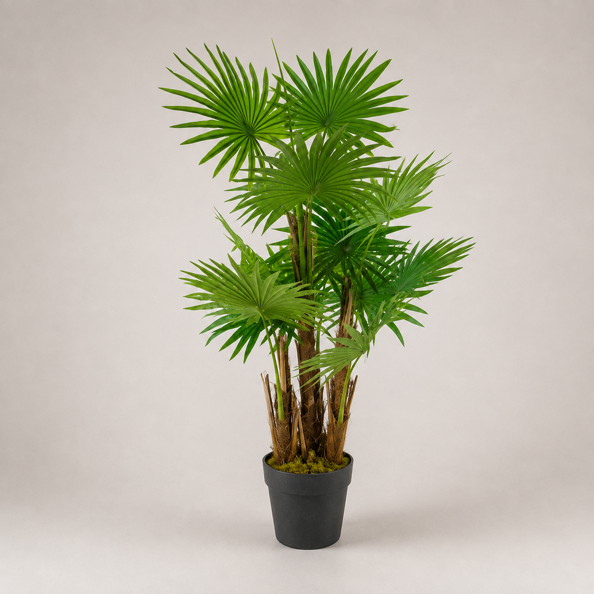 PLANTA ARTIFICIAL LIVISTONA