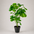 PLANTA ARTIFICIAL POLYSCIAS BALFOURIANA BAILEY