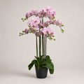 PLANTA ARTIFICIAL ORQUIDEA