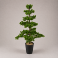 PLANTA ARTIFICIAL BONSAI PODOCARPUS