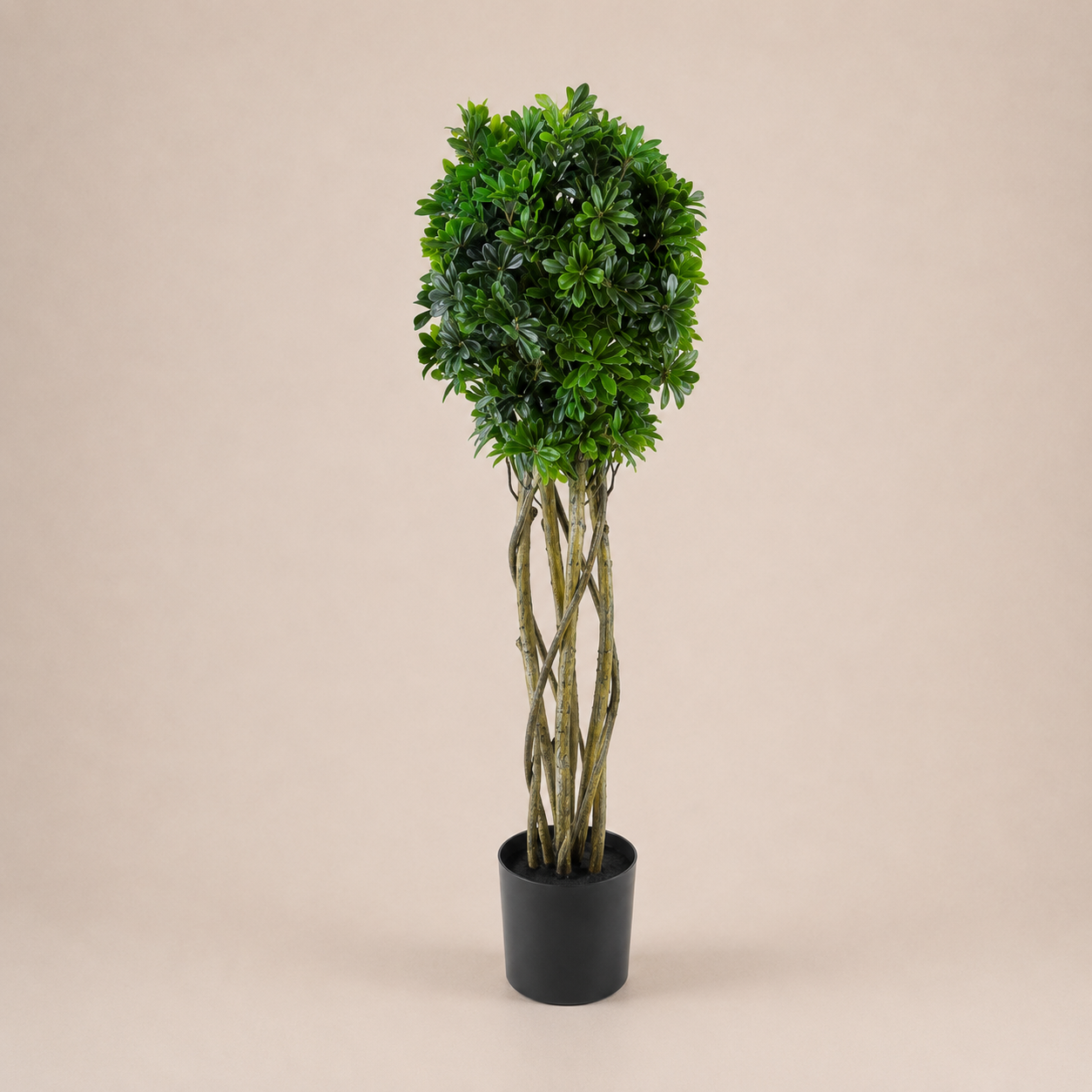 PLANTA ARTIFICIAL SPITTORMPUM TREE