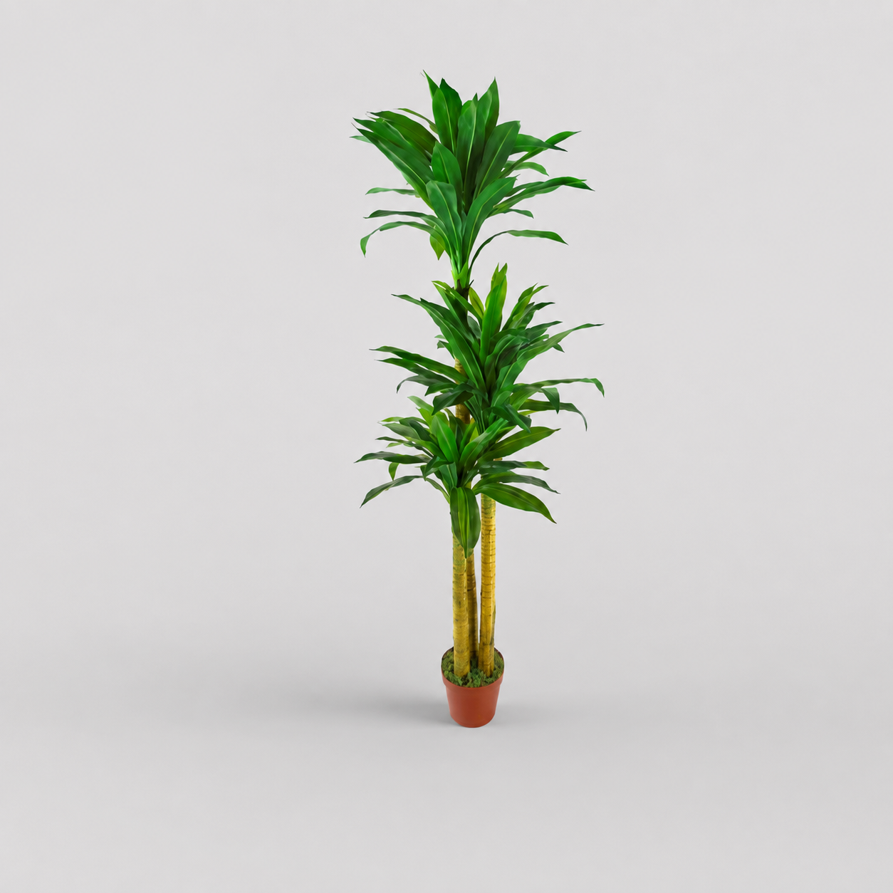 Planta Artificial "Dracaena" 170cm