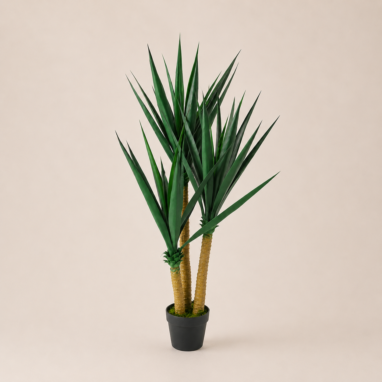 PLANTA ARTIFICIAL SISAL TREE