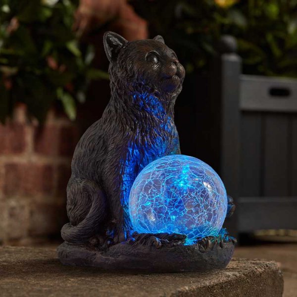 Gato Bola