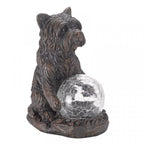 Cão Bola