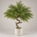 Planta Artificial Bonsai Australian