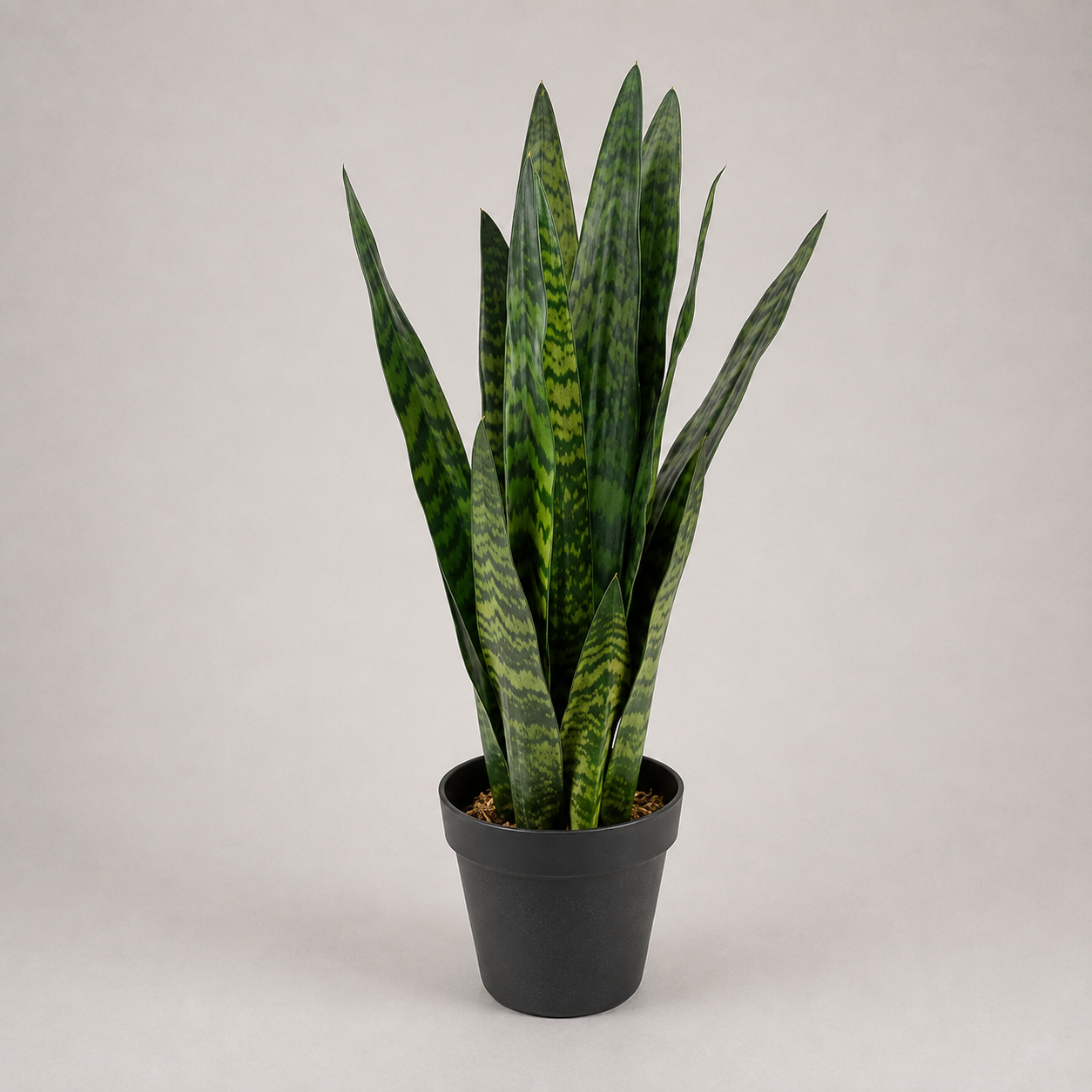 PLANTA ARTIFICIAL SNAKE PLANT