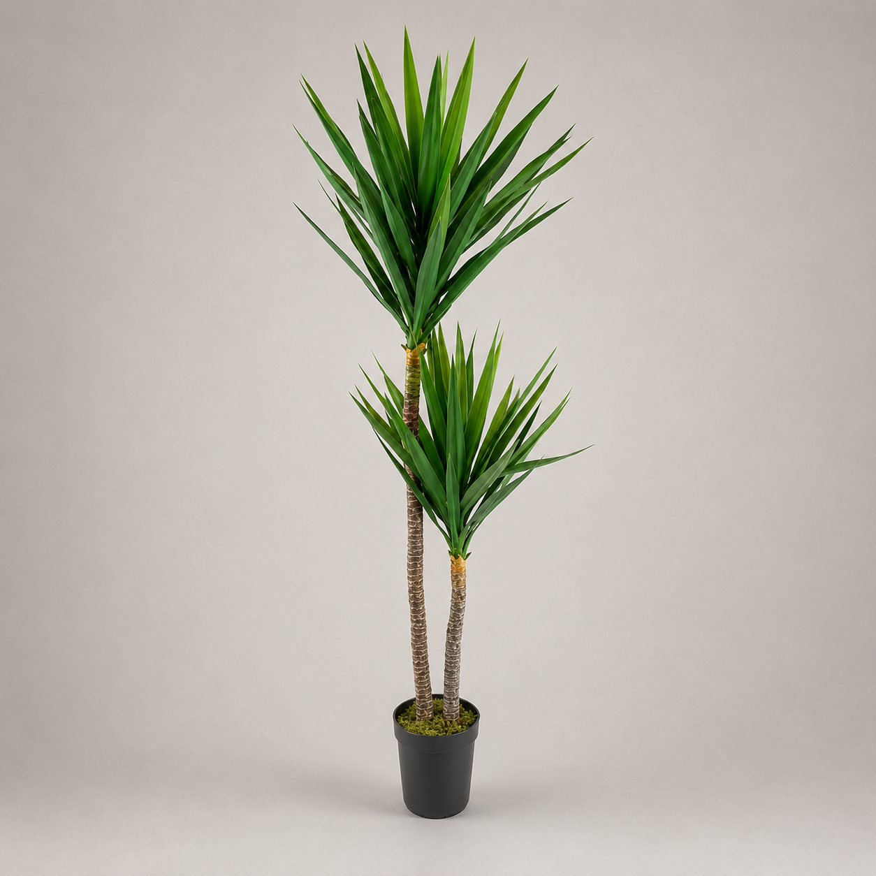PLANTA ARTIFICIAL YUCCA X2
