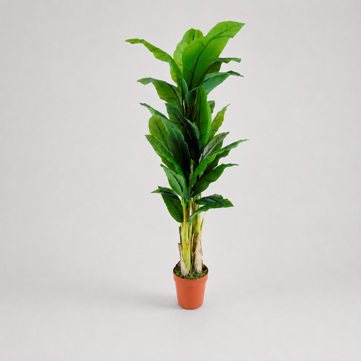 Planta Artificial "Bananeira" 180cm