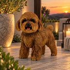 Cão Caniche em Resina