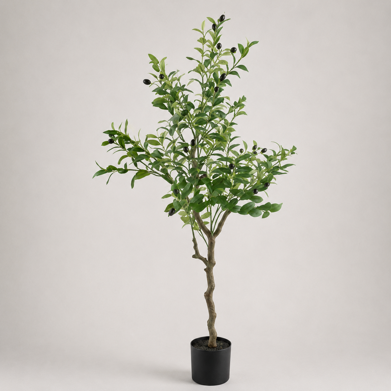 PLANTA ARTIFICIAL OLIVEIRA
