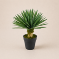 PLANTA ARTIFICIAL SOFT DRACAENA
