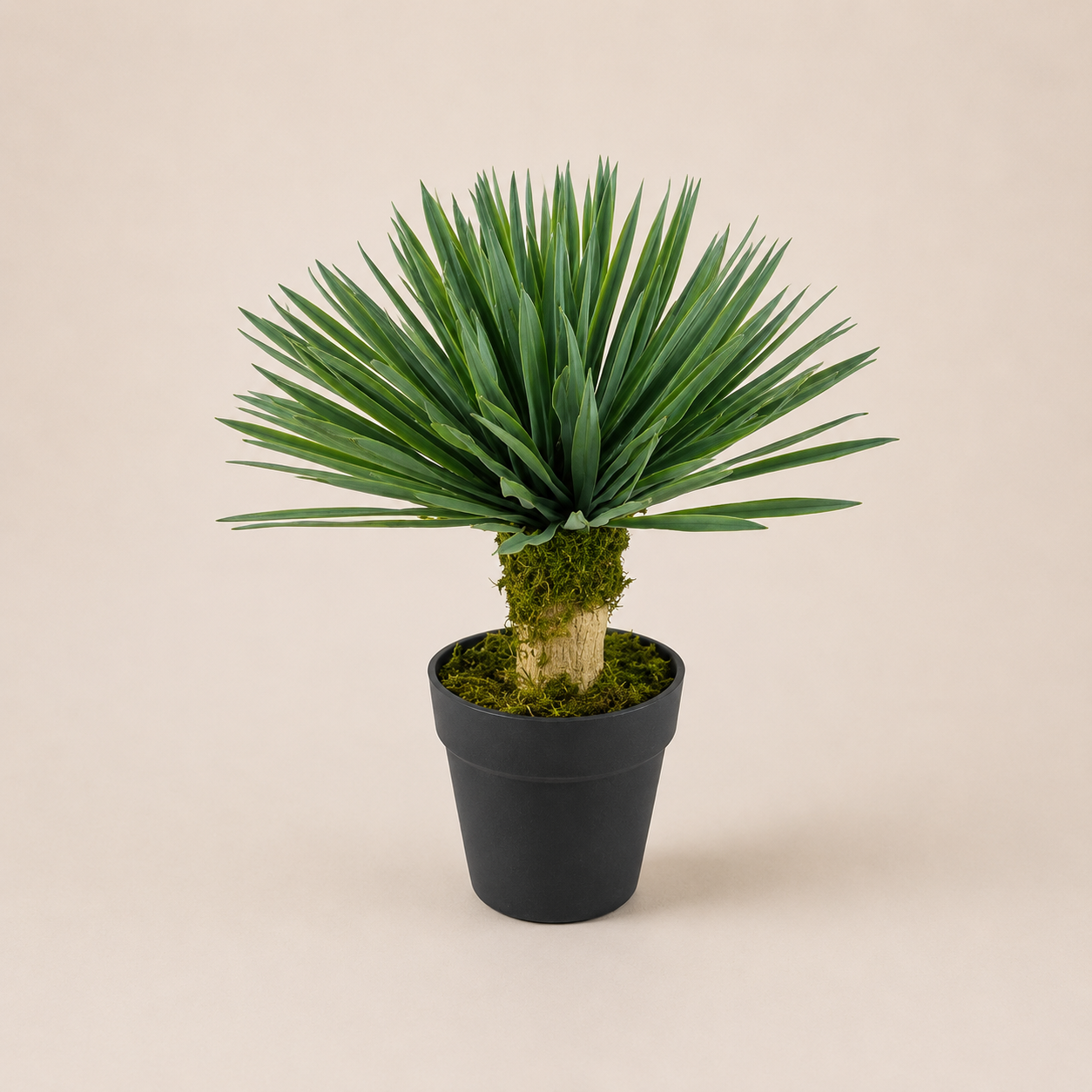 PLANTA ARTIFICIAL SOFT DRACAENA