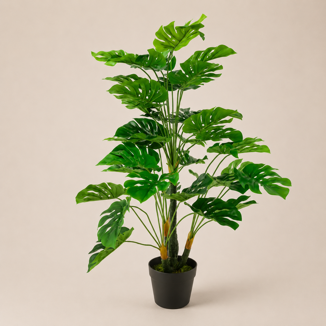 PLANTA ARTIFICIAL REAL TOUCH SPLIT PHILO
