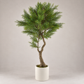 Planta Artificial Bonsai Australian