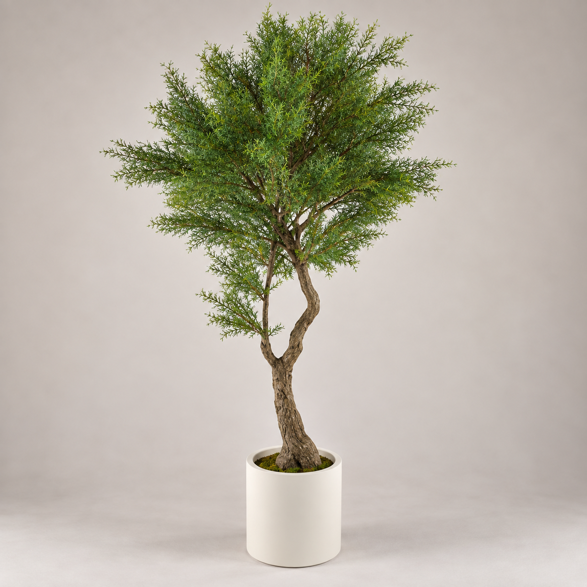 Planta Artificial Bonsai Australian