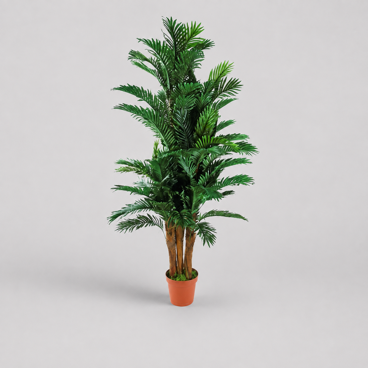 Planta Artificial Palmeira 170cm