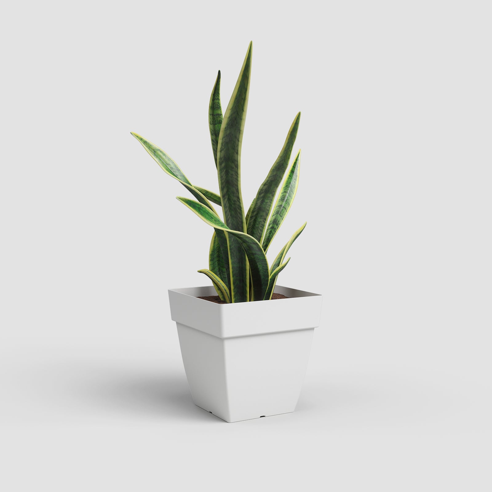 Vaso Capri Quadrado