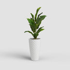 Vaso Havana Tropical Alto