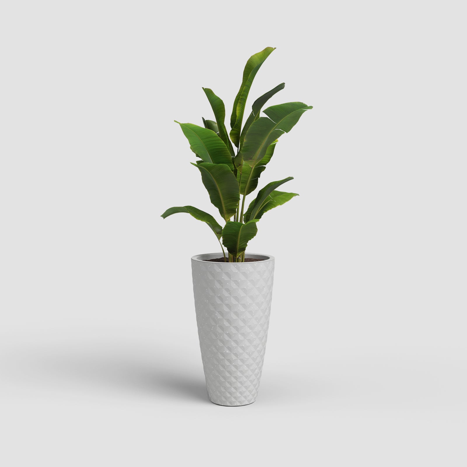 Vaso Havana Tropical Alto