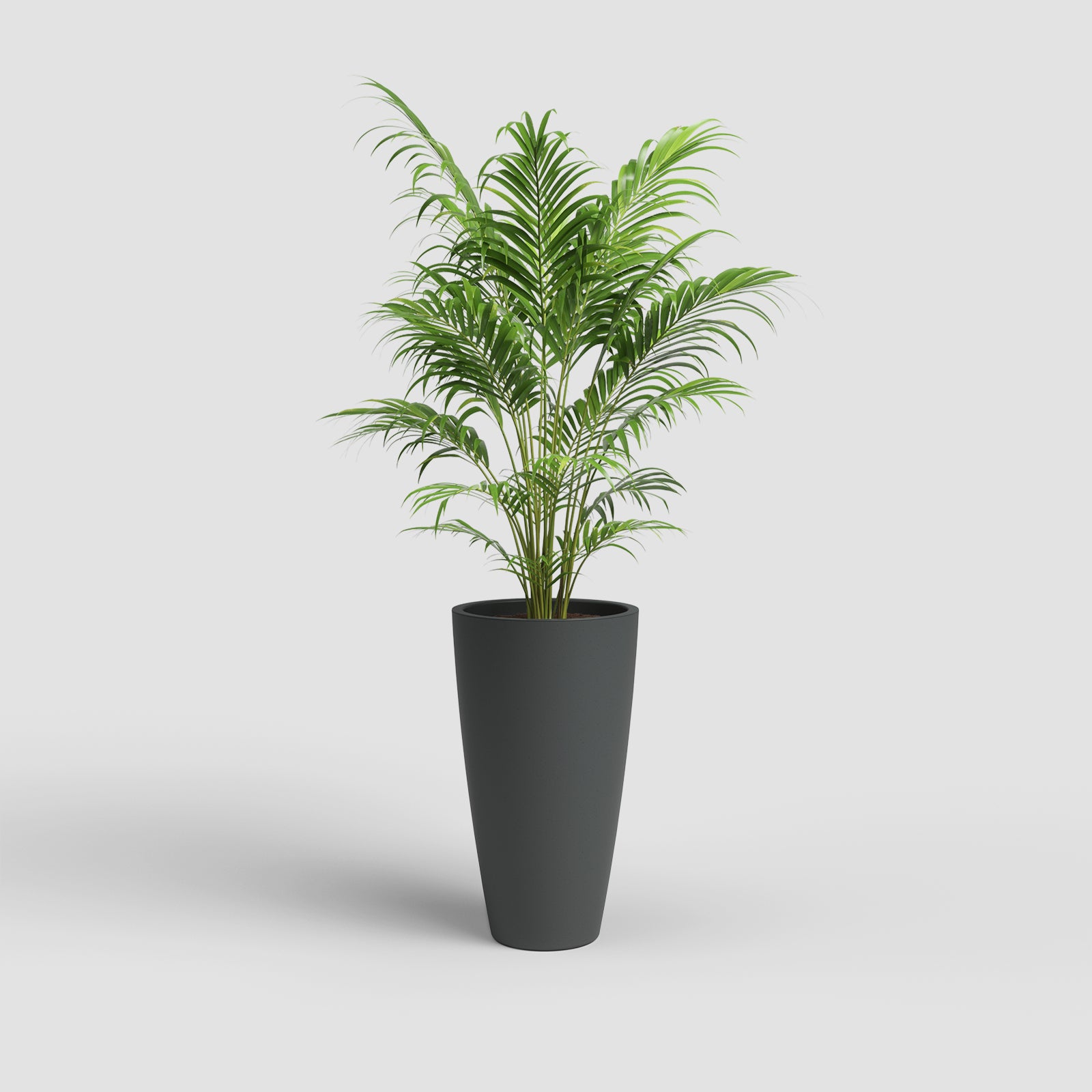 Vaso Havana Natural Alto