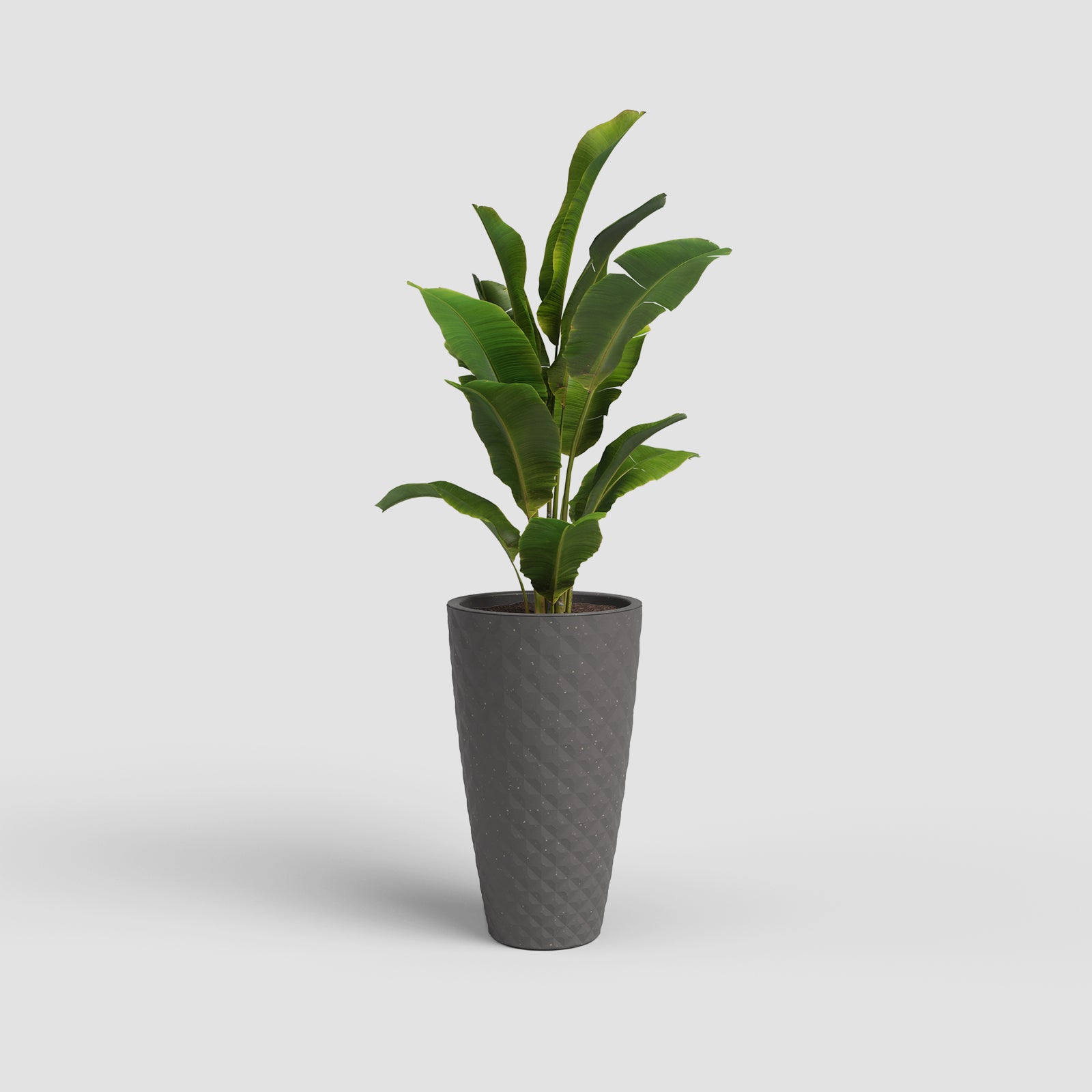 Vaso Havana Tropical Alto
