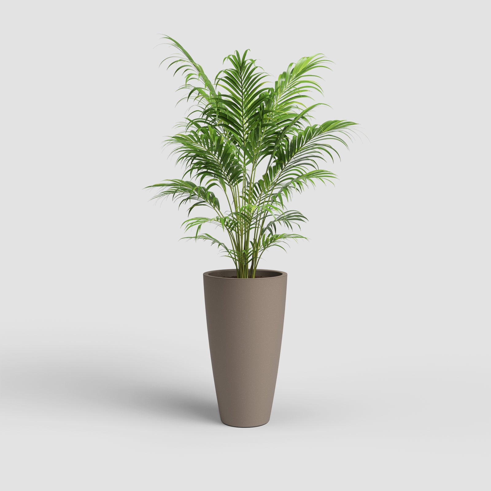 Vaso Havana Natural Alto