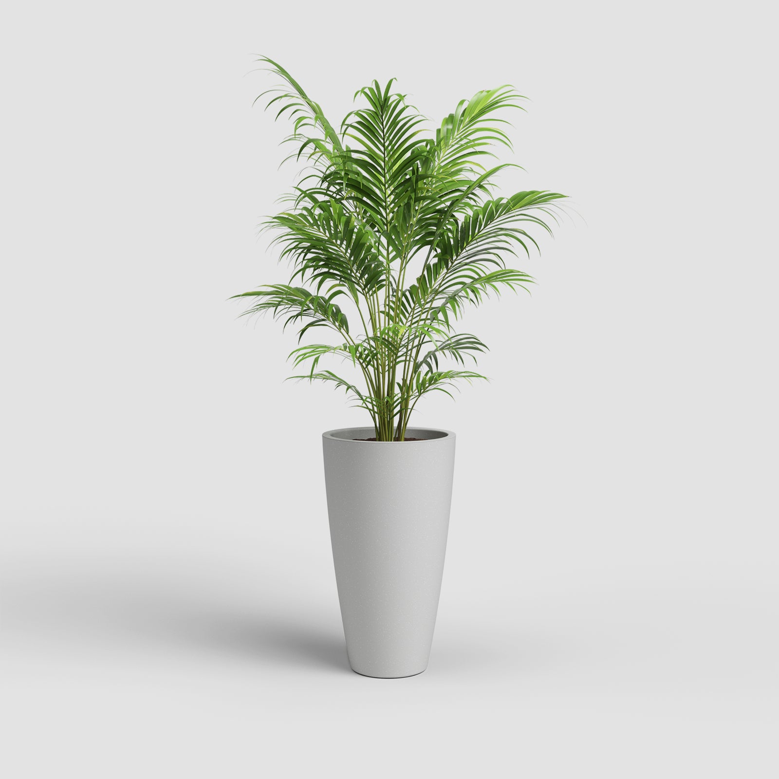 Vaso Havana Natural Alto