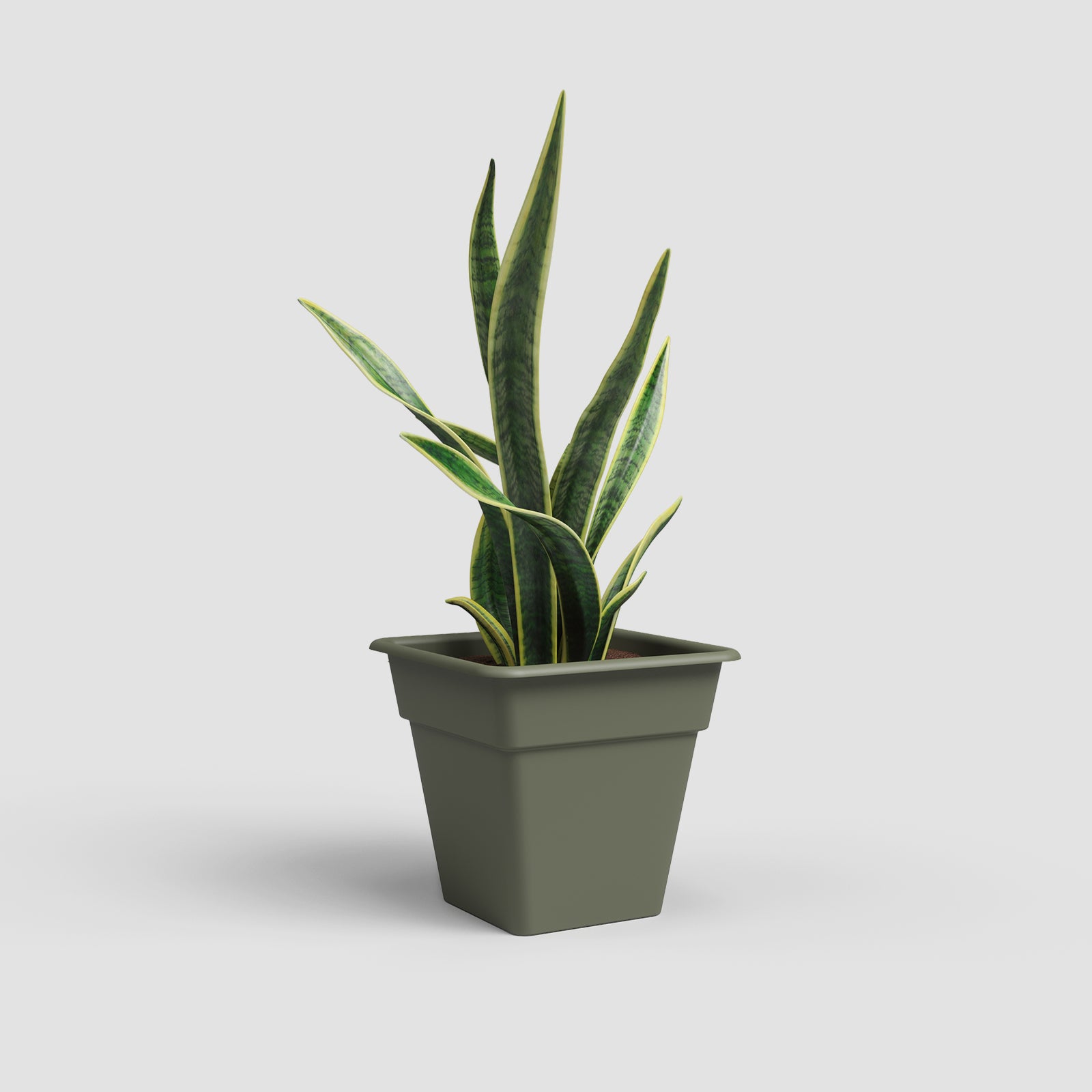 Vaso Madagascar Quadrado