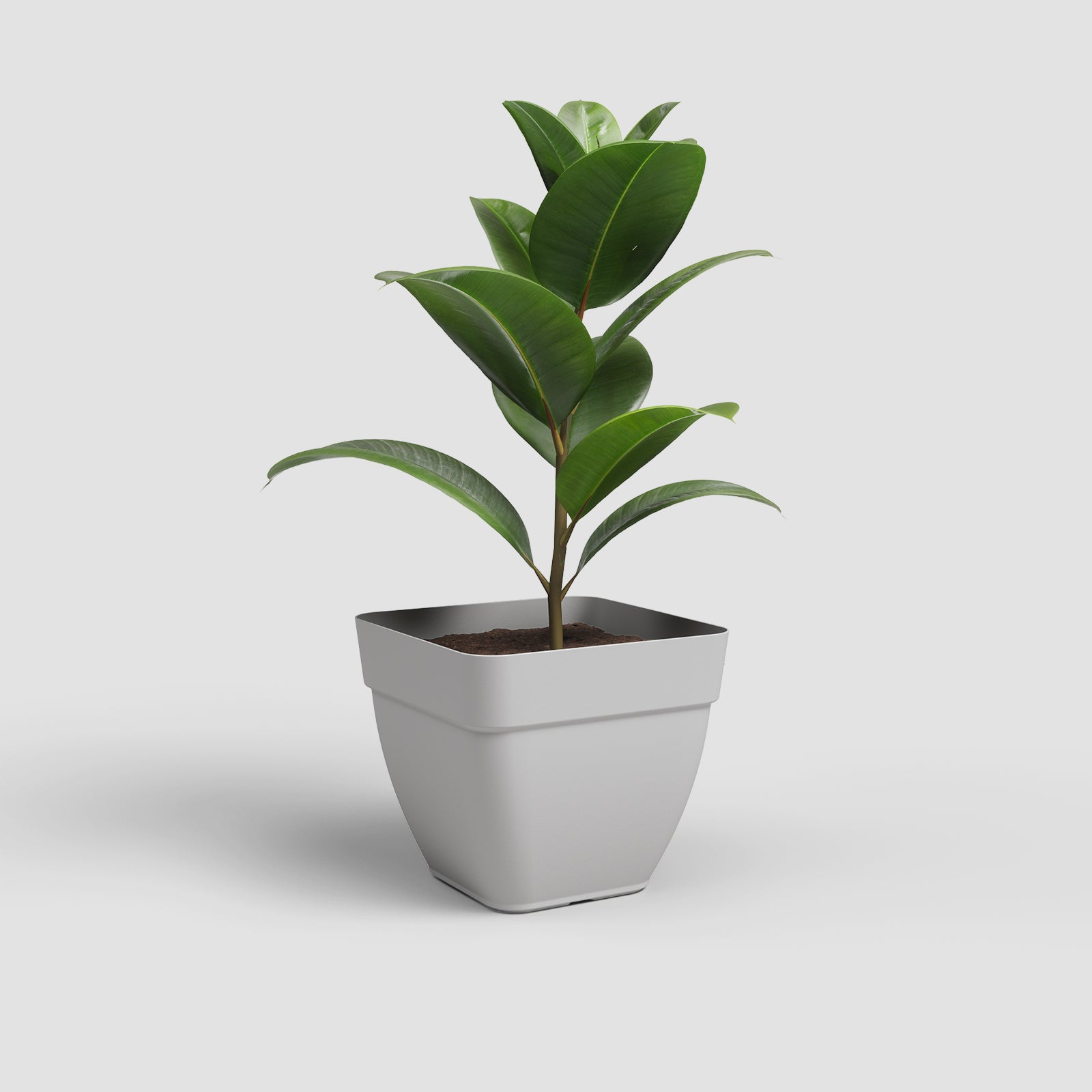 Vaso Capri Campana Quadrado
