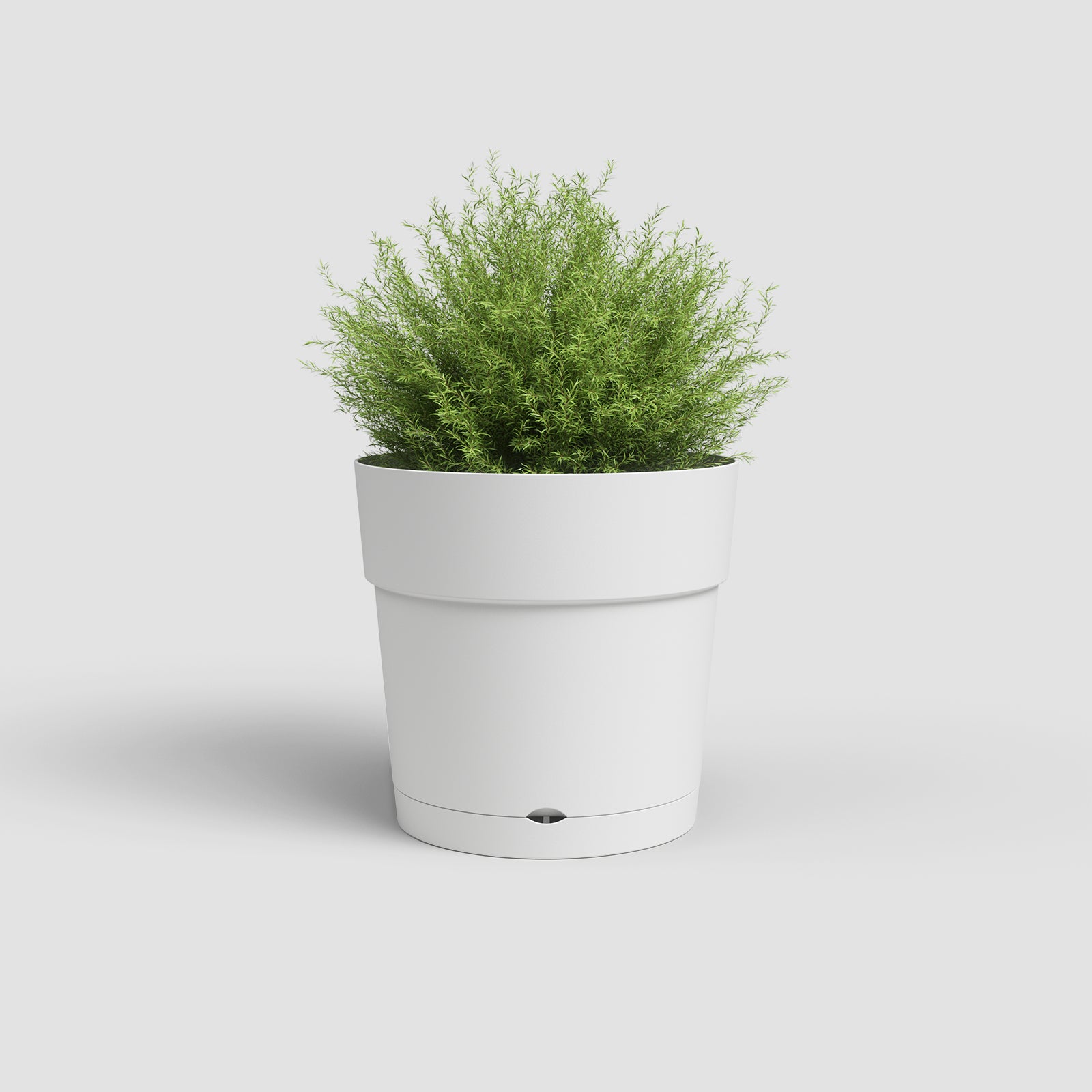 Vaso Capri Largo Reserva De Água