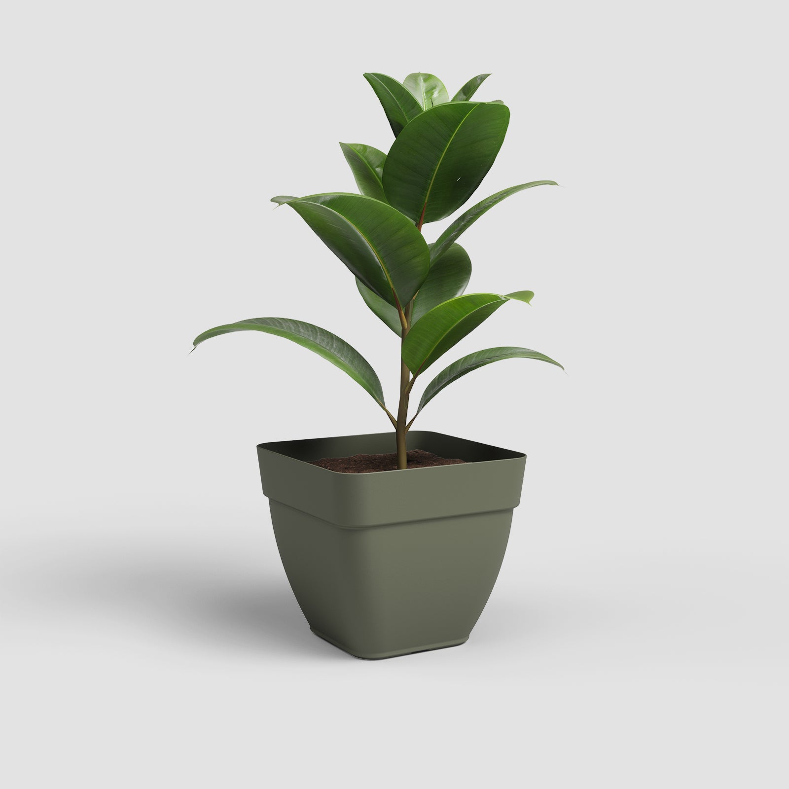 Vaso Capri Campana Quadrado