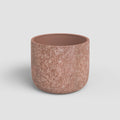 Vaso Cassia