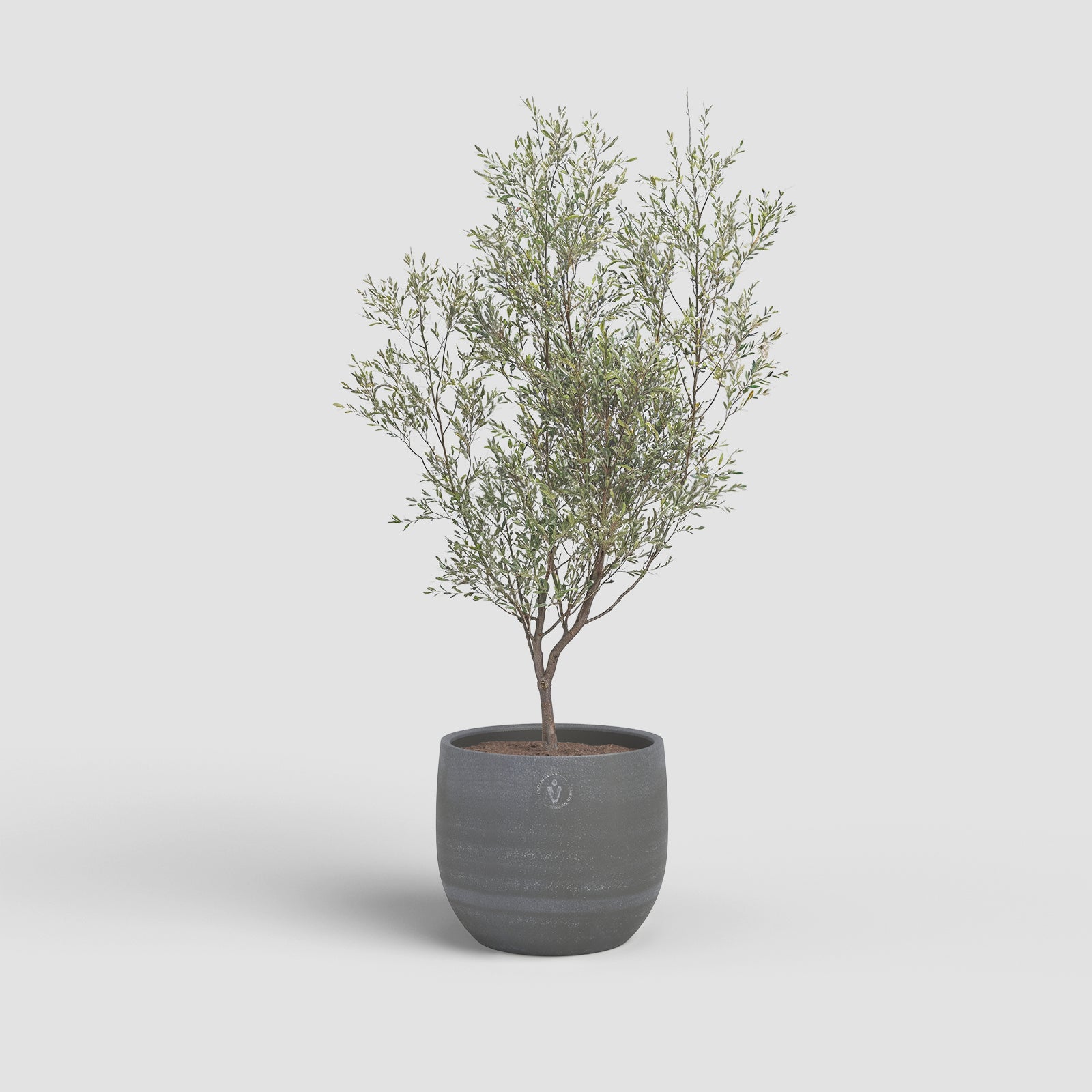 Vaso Selene