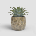 Vaso Callisto