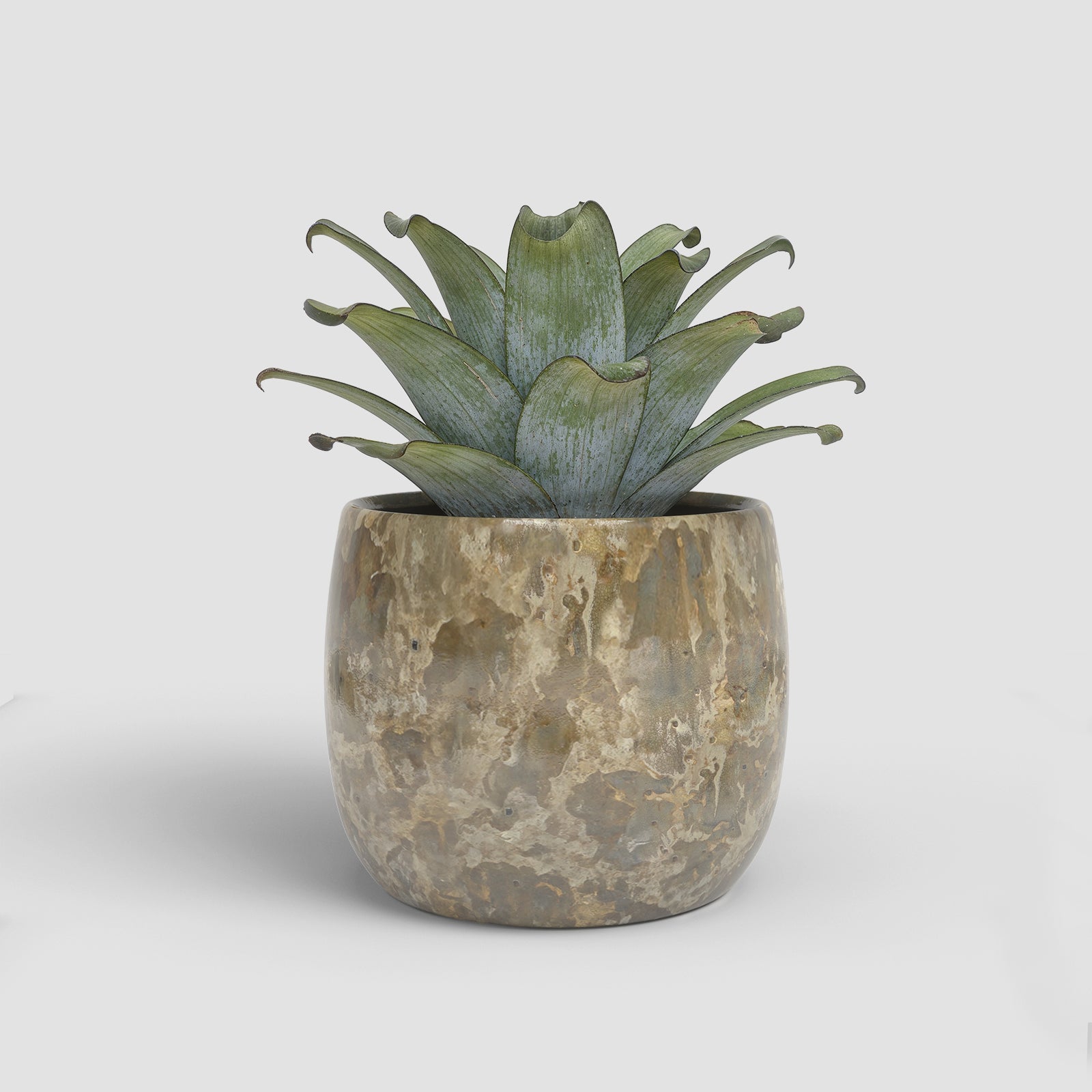 Vaso Callisto