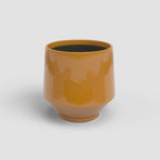 Vaso Maia