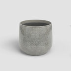 Vaso Olympus