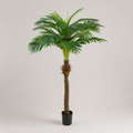 PLANTA ARTIFICIAL PALMEIRA