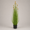 PLANTA ARTIFICIALTHISTLE GRASS