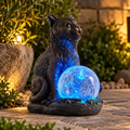 Gato Bola