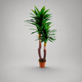 Planta Artificial "Yucca Gloriosa" 145cm