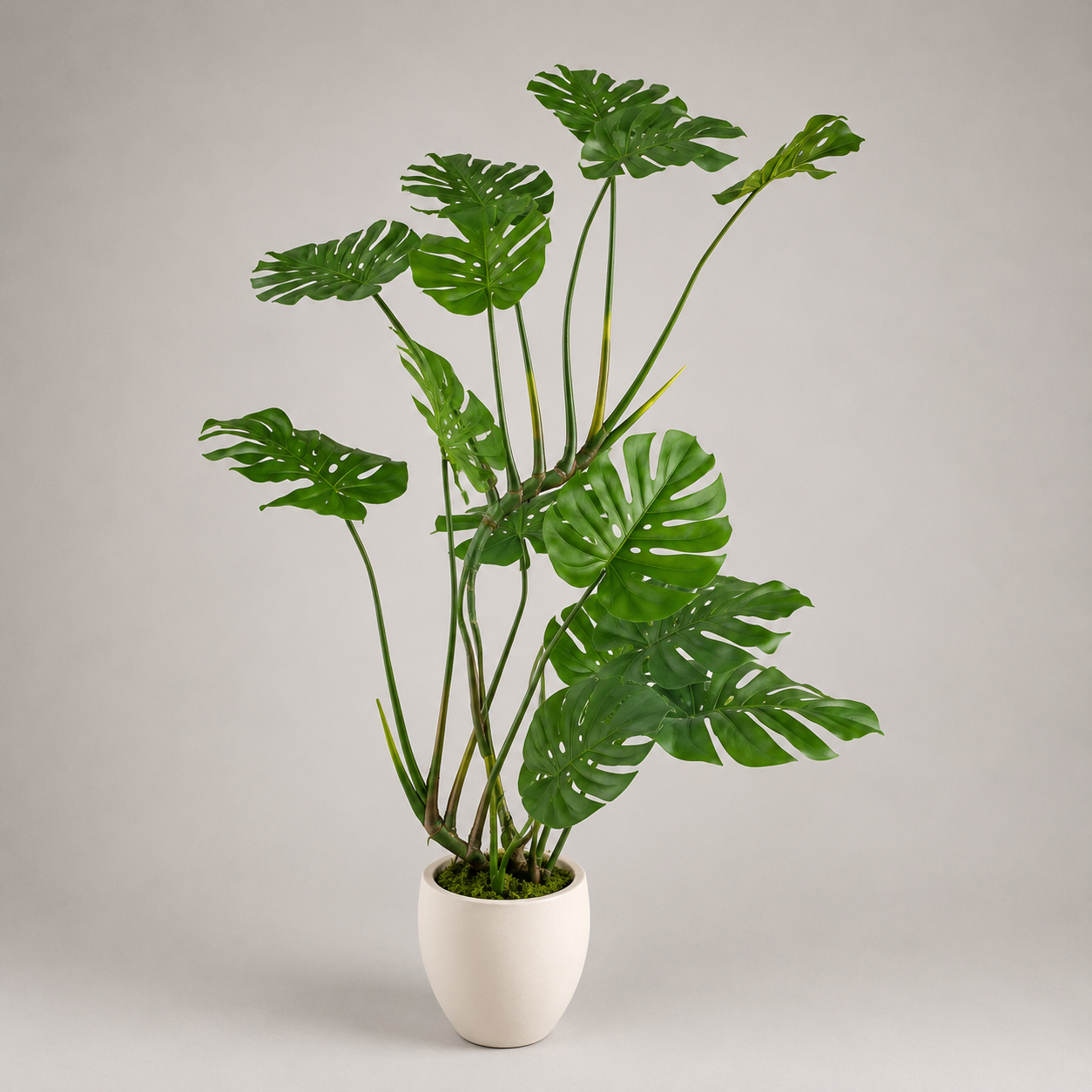 PLANTA ARTIFICIAL MONSTERA