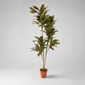 Planta Artificial "Cordyline" 170cm