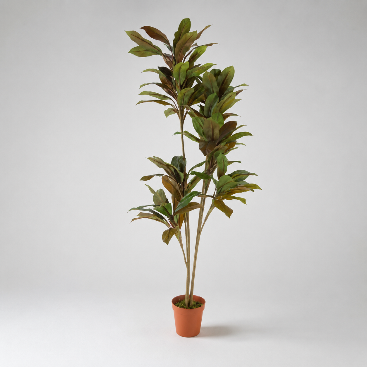 Planta Artificial "Cordyline" 170cm
